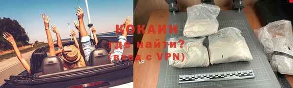 прущие грибы Осташков
