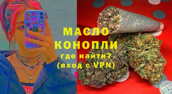 сатива Пересвет