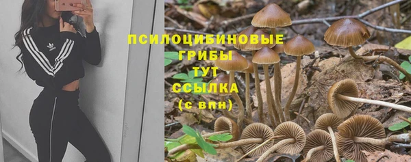 тгк Алексеевка