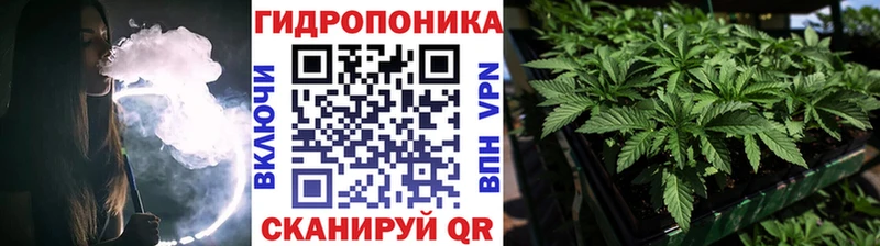 Конопля план дарнет шоп blacksprut как войти Грязи